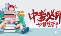 河南花生爆料最新消息新闻,最新花生市场动态及价格走势揭晓