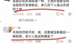 长沙春季爆料新闻事件最新,考古新发现引热议