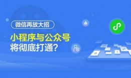 小程序最新时事爆料群,小程序爆料群独家内幕大曝光