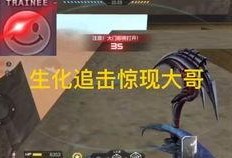 cfm活动最新爆料2024,揭秘最新爆料与精彩亮点